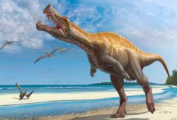 Факты о динозаврах