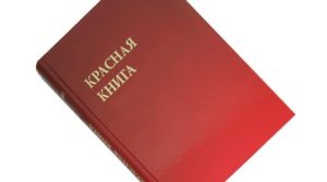 Интересные факты о Красной Книге
