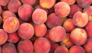 Интересные факты о персиках