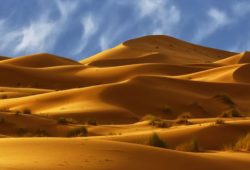 Факты о пустыне Сахара