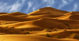 Факты о пустыне Сахара