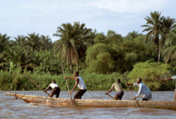 Факты о реке Конго