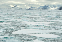 Факты о Северном Ледовитом океане