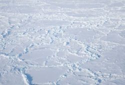 Факты о Северном полюсе
