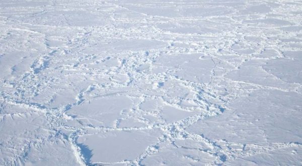 Факты о Северном полюсе