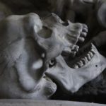 Интересные факты о скелете и костях