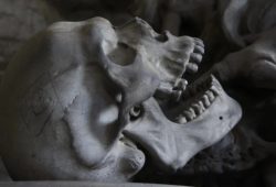Интересные факты о скелете