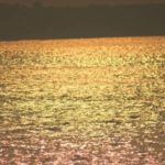 Интересные факты о Жёлтом море