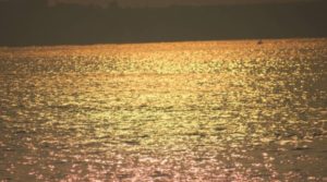 Интересные факты о Жёлтом море