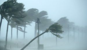 Интересные факты об ураганах