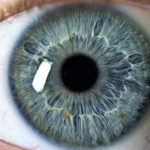 Интересные факты о глазах и зрении