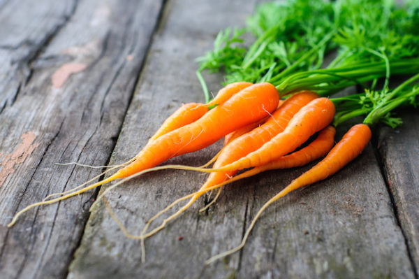 Факты о моркови