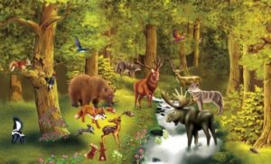 Интересные факты о лесных животных
