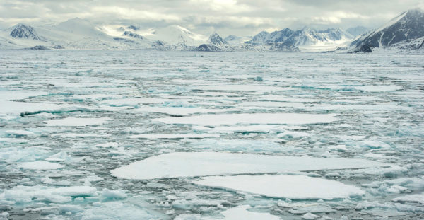 Факты о Северном Ледовитом океане