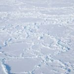Интересные факты о Северном полюсе