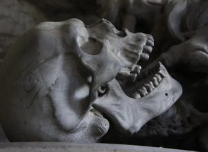 Интересные факты о скелете и костях