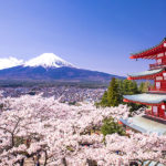 Интересные факты о Японии